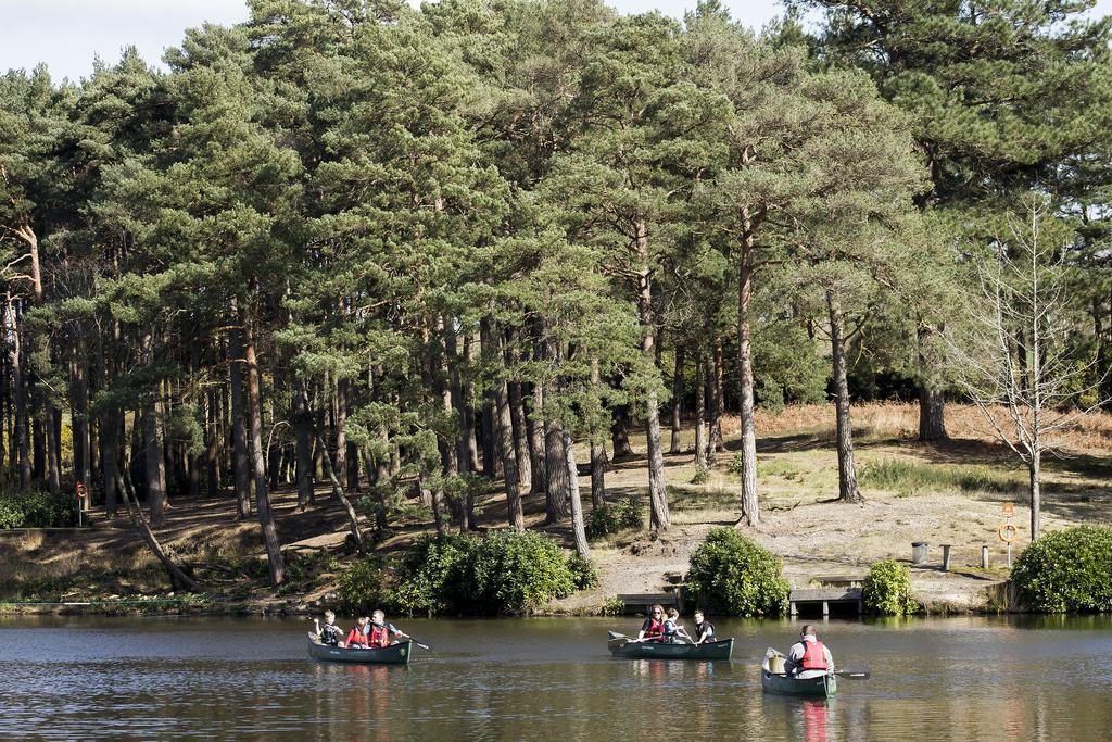 Avon Tyrrell Outdoor Activity Centre Villa Bransgore Ngoại thất bức ảnh
